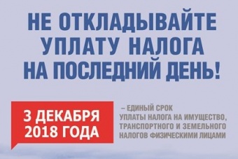 Информация от Управления ФНС России по Санкт-Петербургу
